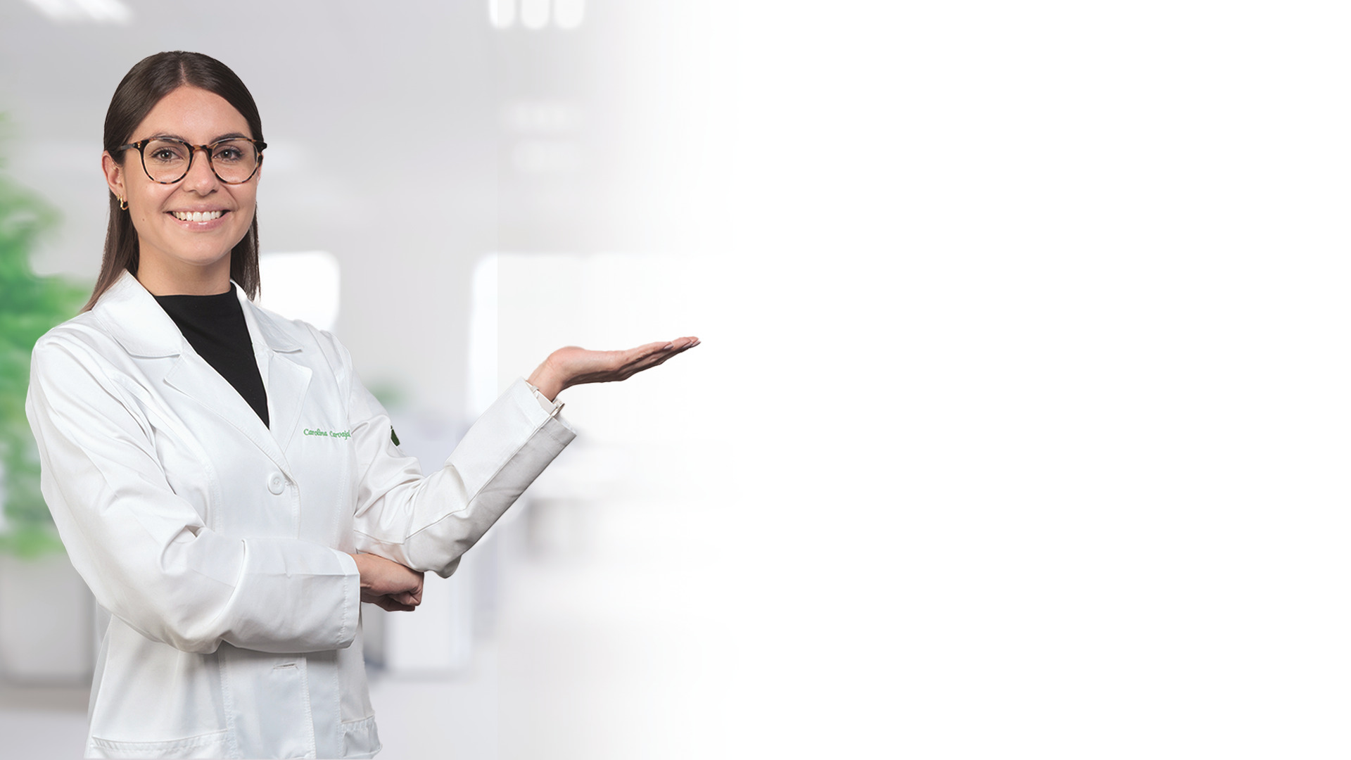 Descripción de la imagen